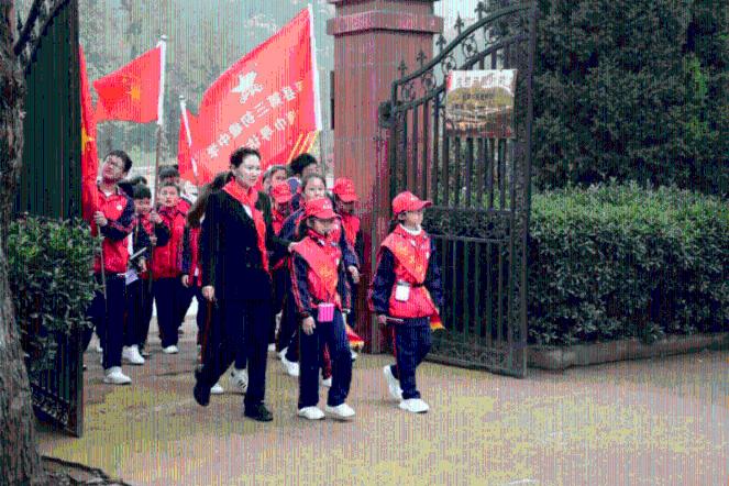 拯救枯树